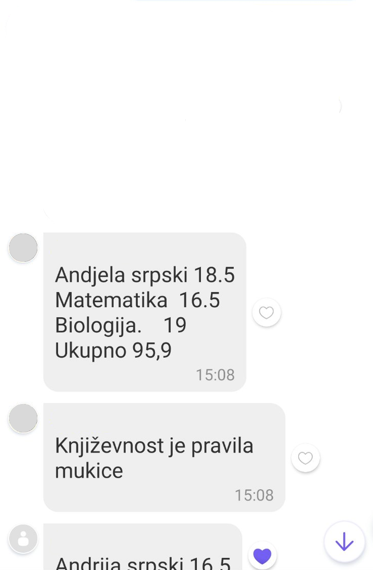Poruka roditelja: Nikola matematika 19, srpski 16, ukupno 95,6